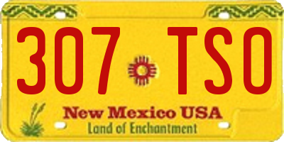 NM license plate 307TSO