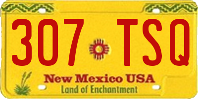 NM license plate 307TSQ