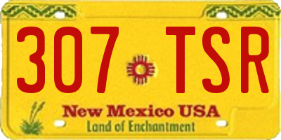 NM license plate 307TSR