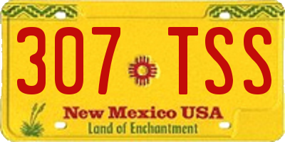 NM license plate 307TSS
