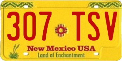 NM license plate 307TSV