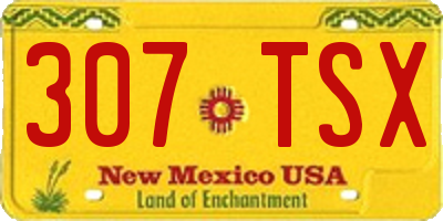 NM license plate 307TSX