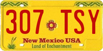 NM license plate 307TSY