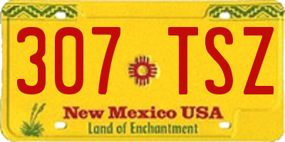 NM license plate 307TSZ