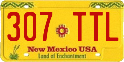 NM license plate 307TTL