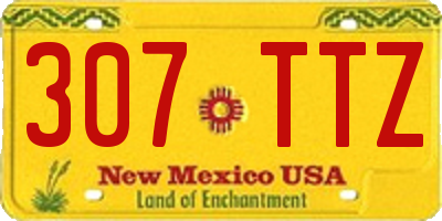 NM license plate 307TTZ