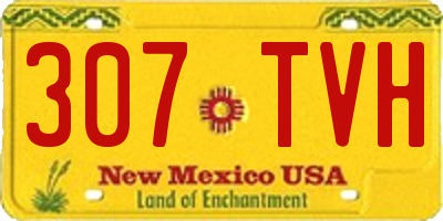 NM license plate 307TVH