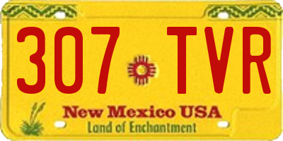 NM license plate 307TVR