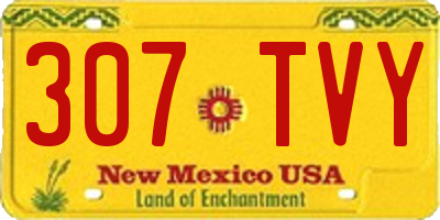 NM license plate 307TVY