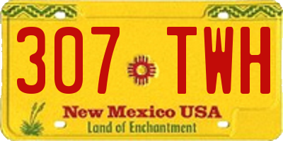 NM license plate 307TWH