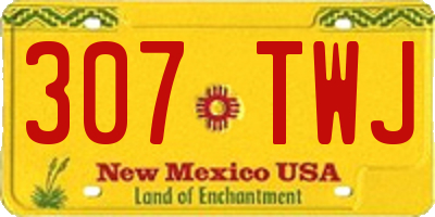 NM license plate 307TWJ