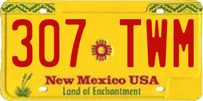 NM license plate 307TWM