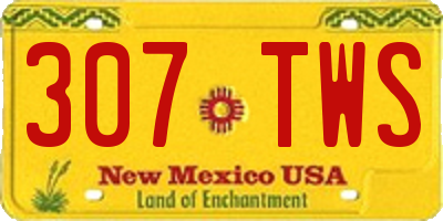 NM license plate 307TWS