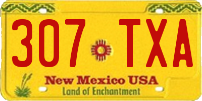 NM license plate 307TXA