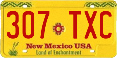 NM license plate 307TXC