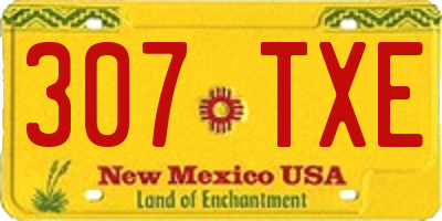 NM license plate 307TXE