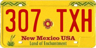 NM license plate 307TXH