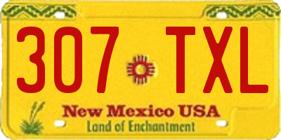 NM license plate 307TXL