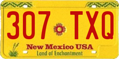 NM license plate 307TXQ