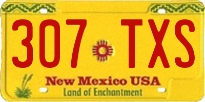 NM license plate 307TXS