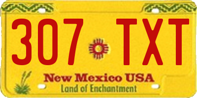 NM license plate 307TXT