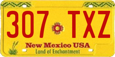 NM license plate 307TXZ