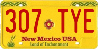 NM license plate 307TYE
