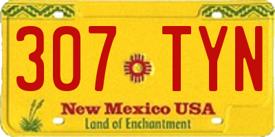 NM license plate 307TYN