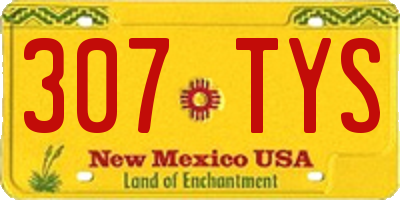 NM license plate 307TYS