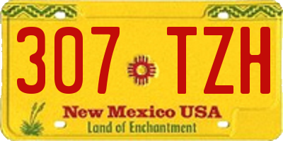 NM license plate 307TZH