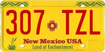NM license plate 307TZL
