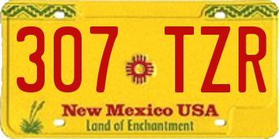 NM license plate 307TZR