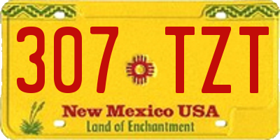 NM license plate 307TZT