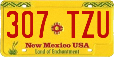 NM license plate 307TZU