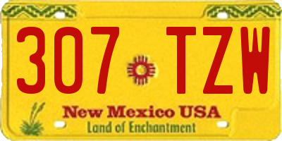 NM license plate 307TZW