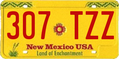 NM license plate 307TZZ