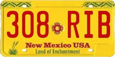 NM license plate 308RIB