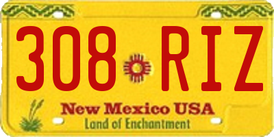 NM license plate 308RIZ