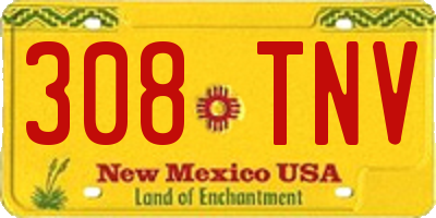 NM license plate 308TNV