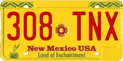 NM license plate 308TNX
