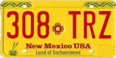 NM license plate 308TRZ