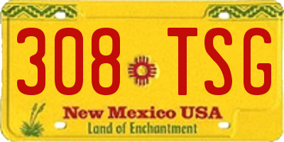 NM license plate 308TSG