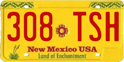 NM license plate 308TSH