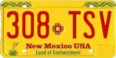 NM license plate 308TSV