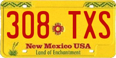 NM license plate 308TXS