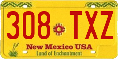 NM license plate 308TXZ