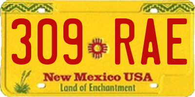 NM license plate 309RAE