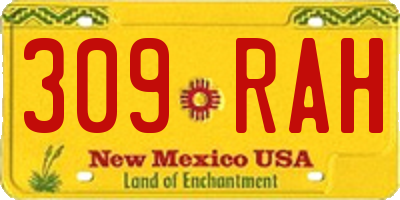 NM license plate 309RAH