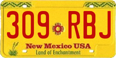 NM license plate 309RBJ