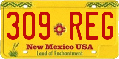 NM license plate 309REG